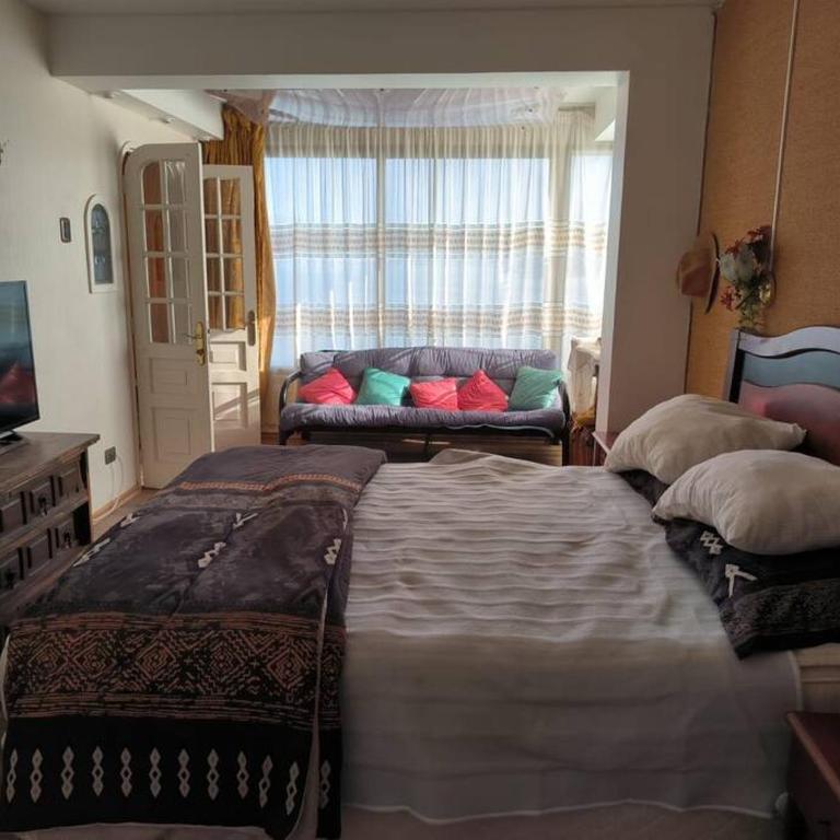 Disfruta Viña del Mar - Apartamento de 1 dormitorio - 2