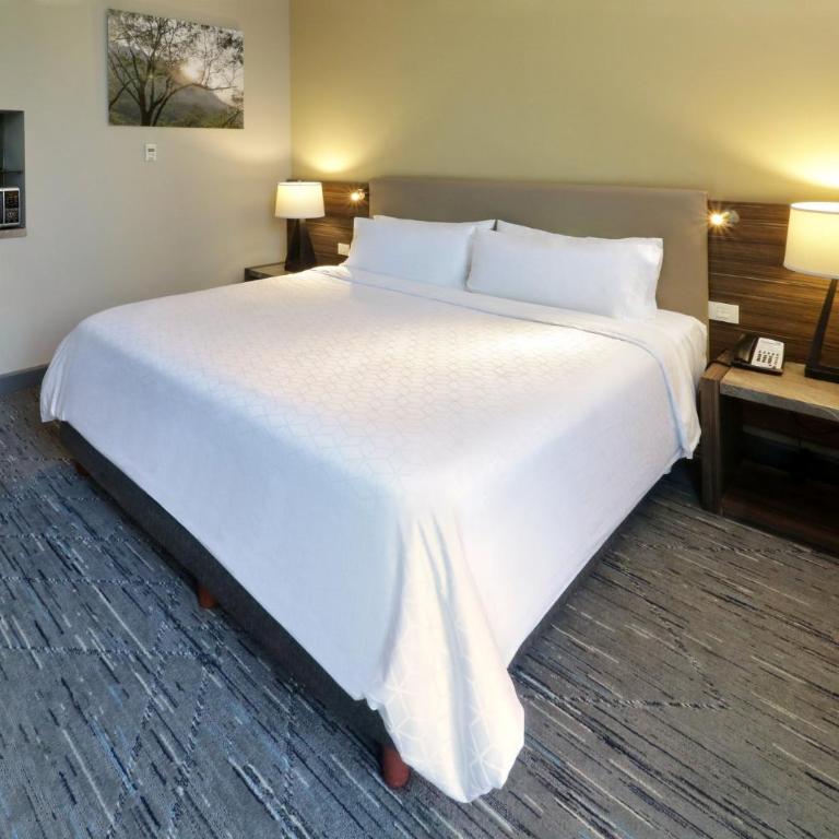 Holiday Inn Express & Suites Monterrey Valle by IHG - Habitación Estándar con espacio adicional - 1 cama extragrande - 4