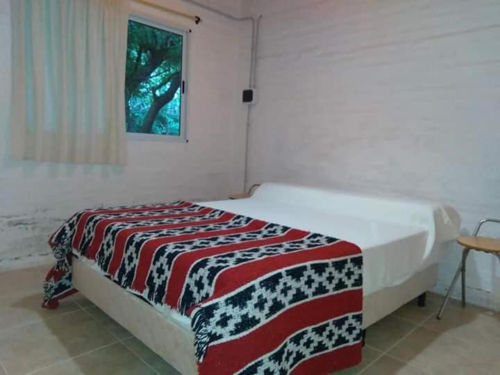 Cheroga - One-Bedroom House - 17