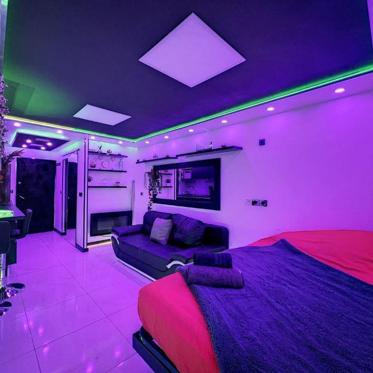C12 Deluxe - Apartamento Deluxe - 3