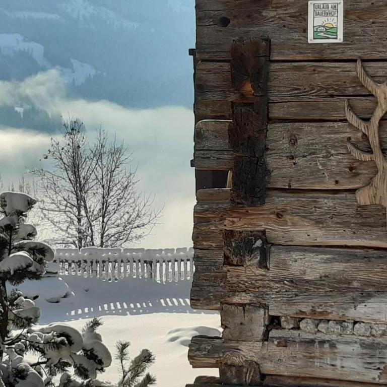 Almhütte Brandgut - Chalet - 46