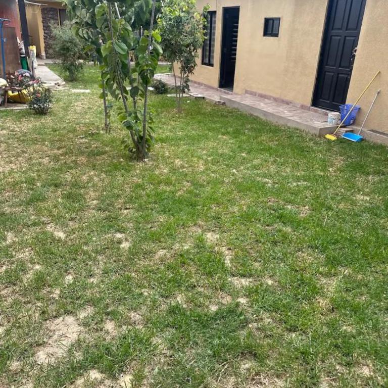 Mono ambientes privados NOVILLO - Apartamento de 1 dormitorio - 13