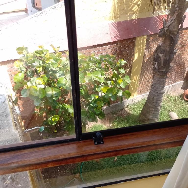 Arica Surf & Beach House - Double or Twin Room with Sea View - 8