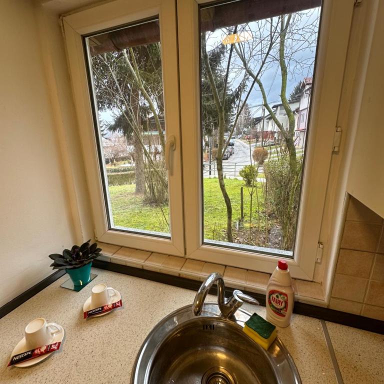 Golden Lily - Pet Friendly Apartment - One-Bedroom Apartment - 19
