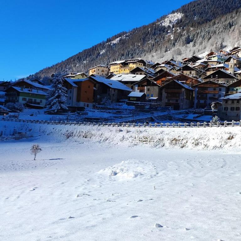 Appartamento panoramico a due passi dal Tonale - Appartamento con 1 Camera da Letto - 18