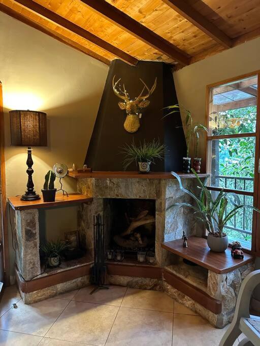 Cabaña sendero verde - Casa de 2 dormitorios - 22