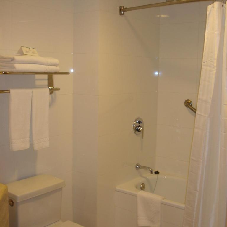Hotel Diego de Almagro Lomas Verdes - Habitación con cama extragrande. - 1