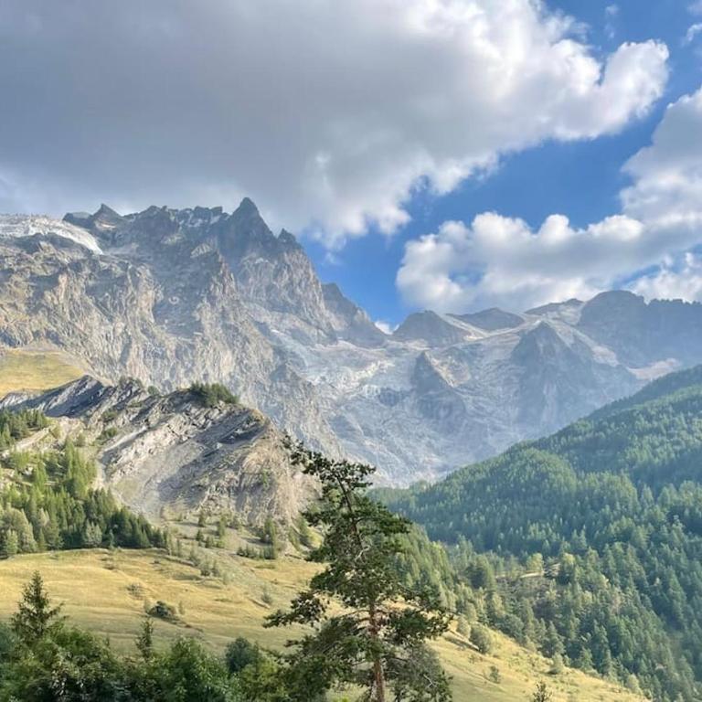 Heart of La Grave La Meije - Appartement 2 Chambres - 16