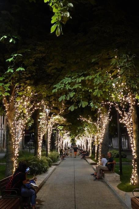 Luxury charm Bergamo centro - Appartamento - 48