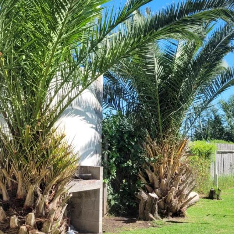 Cabañas De Cero - Apartamento de 1 dormitorio - 33