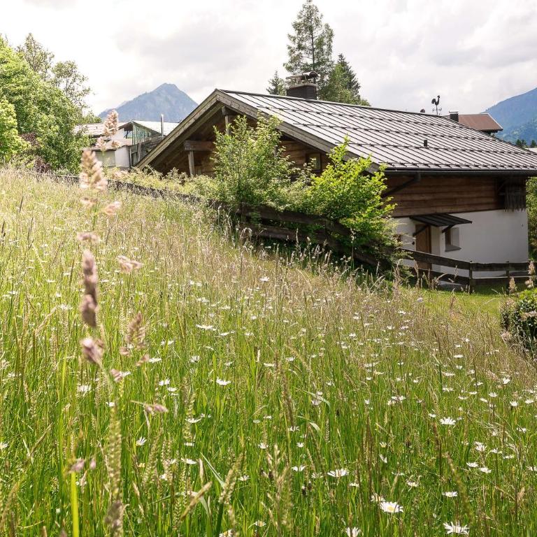 Alpenhaus Oberstdorf - Bergbahn unlimited im Sommer inklusive - Apartment mit 2 Schlafzimmern - 22