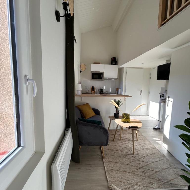 l'Apparté Saint Michel - T1bis - Métro - TRAM - Appartement 1 Chambre - 17