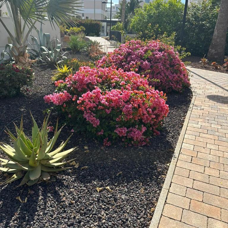 Beautiful Apartment Green Hills Orihuela Costa - Apartamento de 3 dormitorios - 27