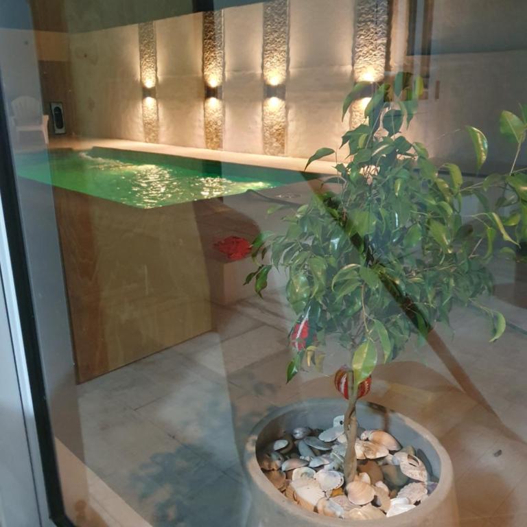 Quincho Los Abuelos 2 - Casa con 1 dormitorio - 13