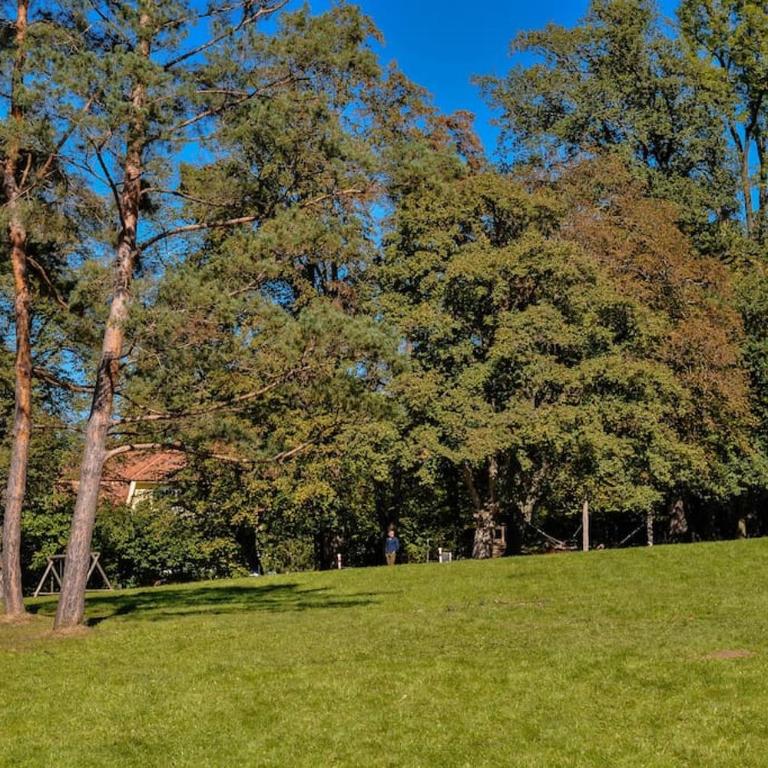 Ruhiges Apartment in der Nähe von Park und Krankenhaus mit gratis Parkplatz - Apartment mit 2 Schlafzimmern - 12