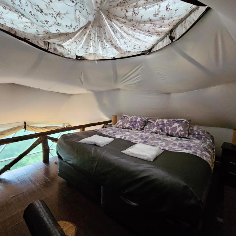 Vortice Chile Eco-Lodge - Bungalow Deluxe - 2