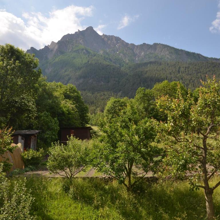 Grosse, schöne Wohnung im Grünen - Apartment mit 4 Schlafzimmern - 3