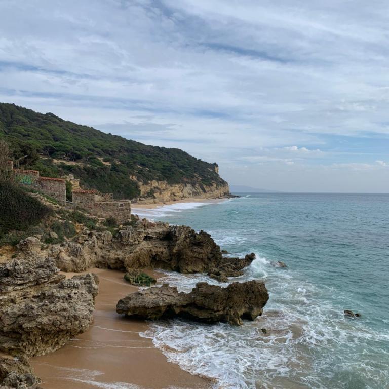 Apartamento Vista al mar primera en la playa - Apartamento de 2 dormitorios - 71
