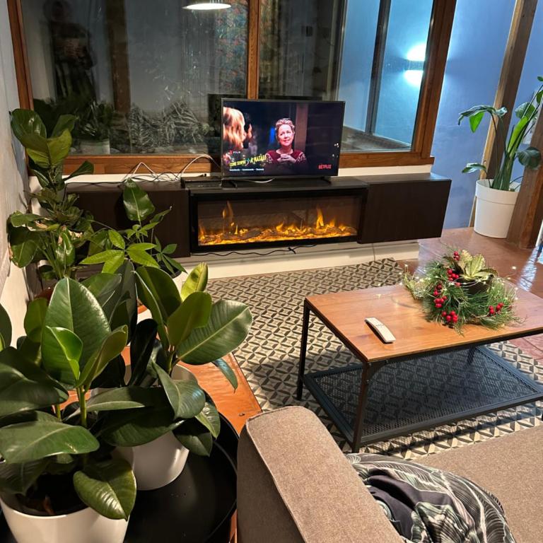 The Vatican Jungle loft con giardino vicino al Vaticano - Three-Bedroom Apartment - 13