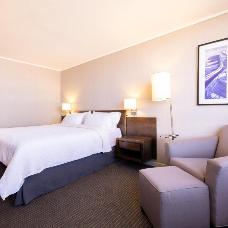 Holiday Inn Express - Iquique by IHG - Standard King Room - 2