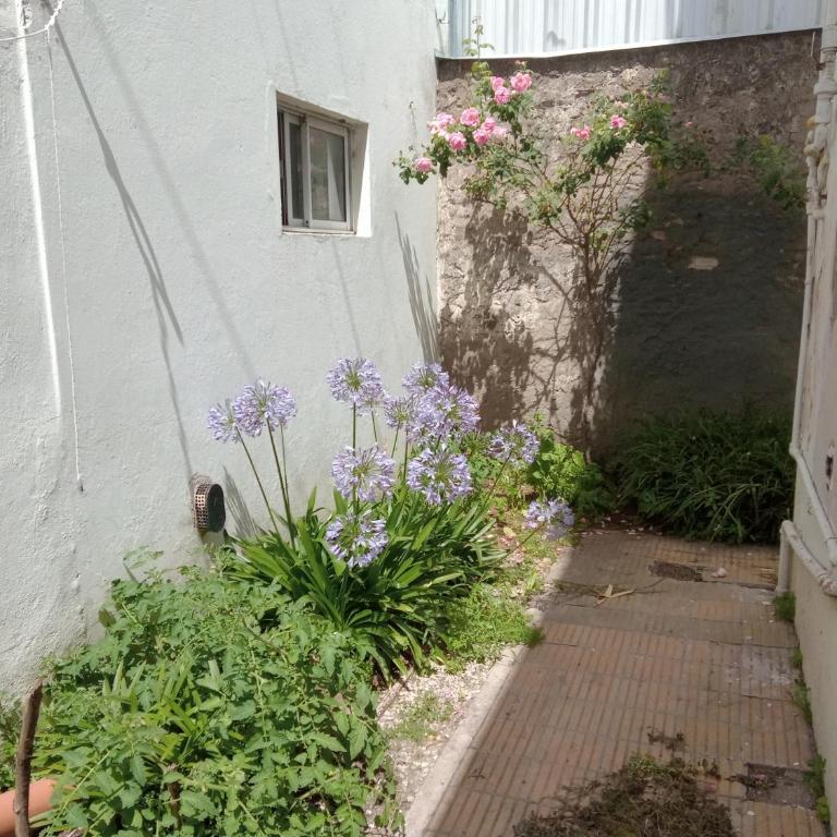 Departamento ph amplio necochea Rotonda - Apartamento de 2 dormitorios - 2