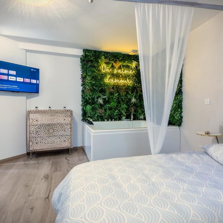 L'Eden Zen - Suite Jacuzzi, parking, clim, Netflix - Appartement 1 Chambre - 12