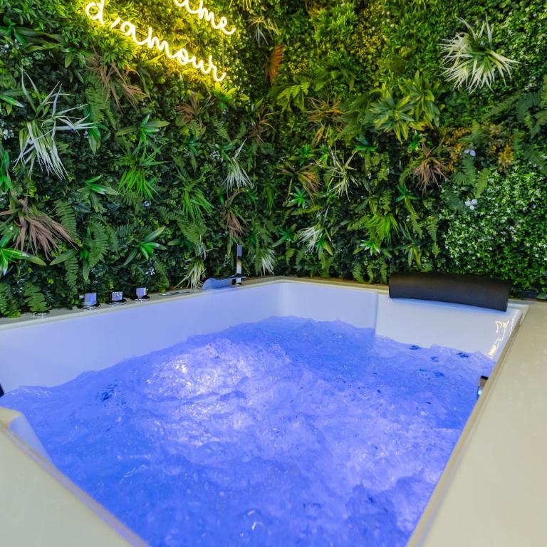 L'Eden Zen - Suite Jacuzzi, parking, clim, Netflix - Appartement 1 Chambre - 13