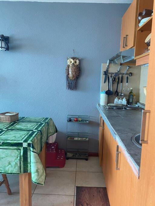 Condominio Bahia Pelicanos - Horcon - Apartamento de 1 dormitorio - 18