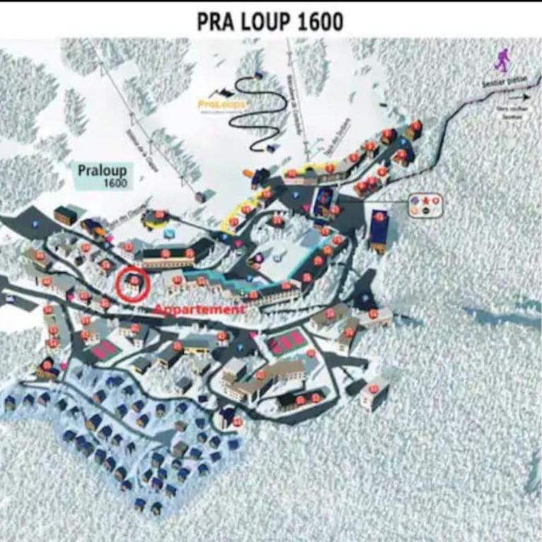 Appart PRA LOUP près des pistes - Appartement 1 Chambre - 9