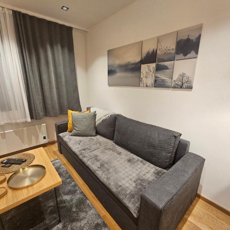 Zlatni Javor, Apartment 408 - Apartman sa Pogledom na Planinu - 4