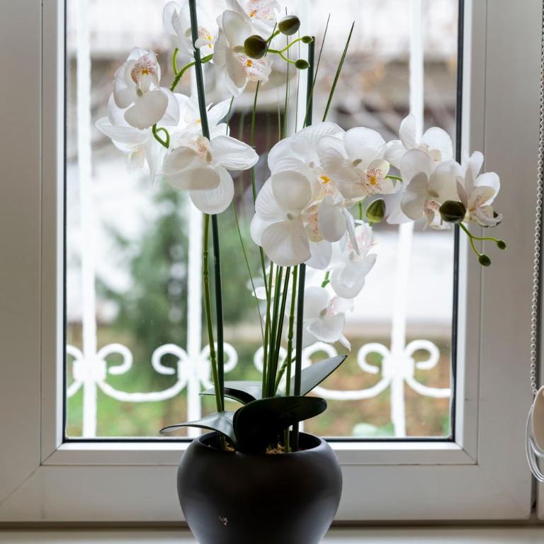 Train 23 - Apartman sa 1 Spavaćom Sobom - 42