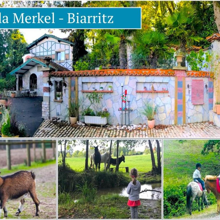 Art-Villa Merkel - 28 pers - 11 chambr - 10 WC - Piscine - Villa - 57