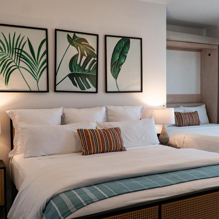 Flamboyan Hotel & Residences - Deluxe Room - 1