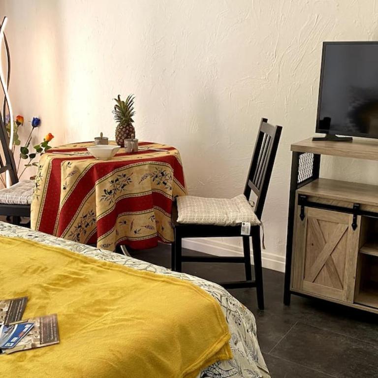 Studio balcon, centre ville, proximité plages, commerces, restaurants, musées... - Apartment mit 1 Schlafzimmer - 3