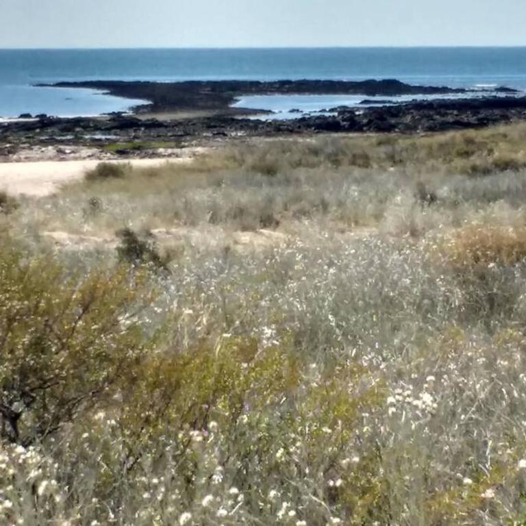 Mandalei, Refugio De Mar - One-Bedroom House - 11