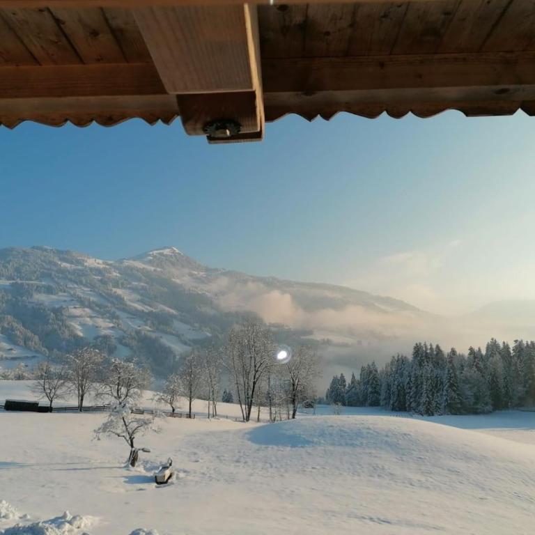 Chalet Platzl - Apartment mit 2 Schlafzimmern und Dusche - 4