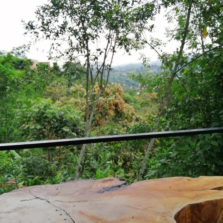 Villas del Rio Glamping - Budget Double Room - 6