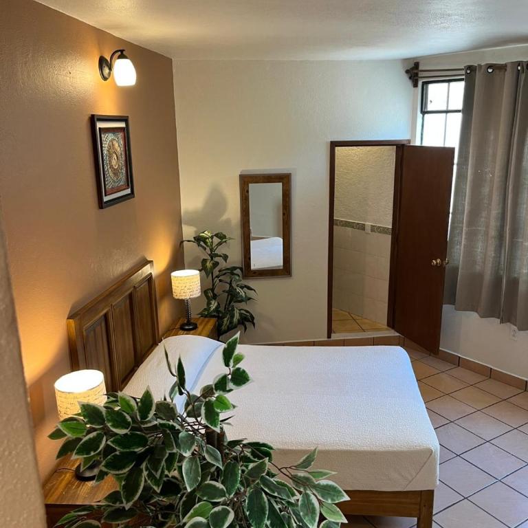 Hotel Jardín del Cantador - Quadruple Room - 2