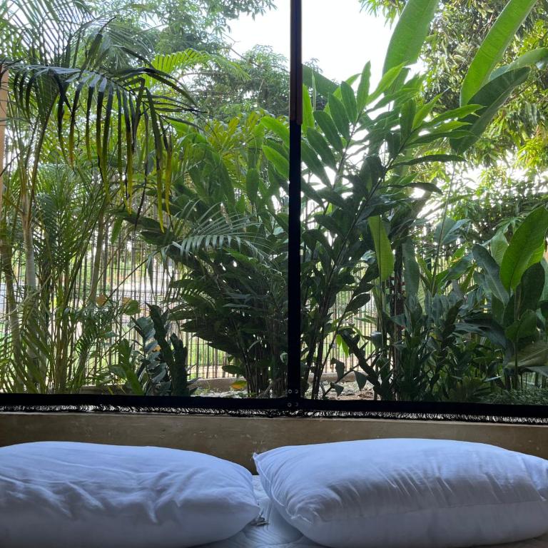 Agua de Coco - Habitación Doble con terraza - 9