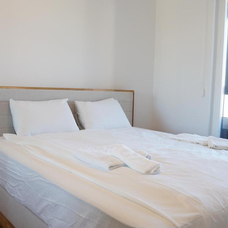 White Peaks - Apartman sa 1 Spavaćom Sobom - 28