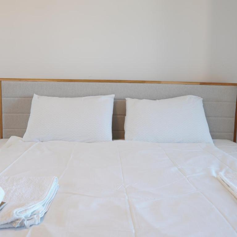 White Peaks - Apartman sa 1 Spavaćom Sobom - 31