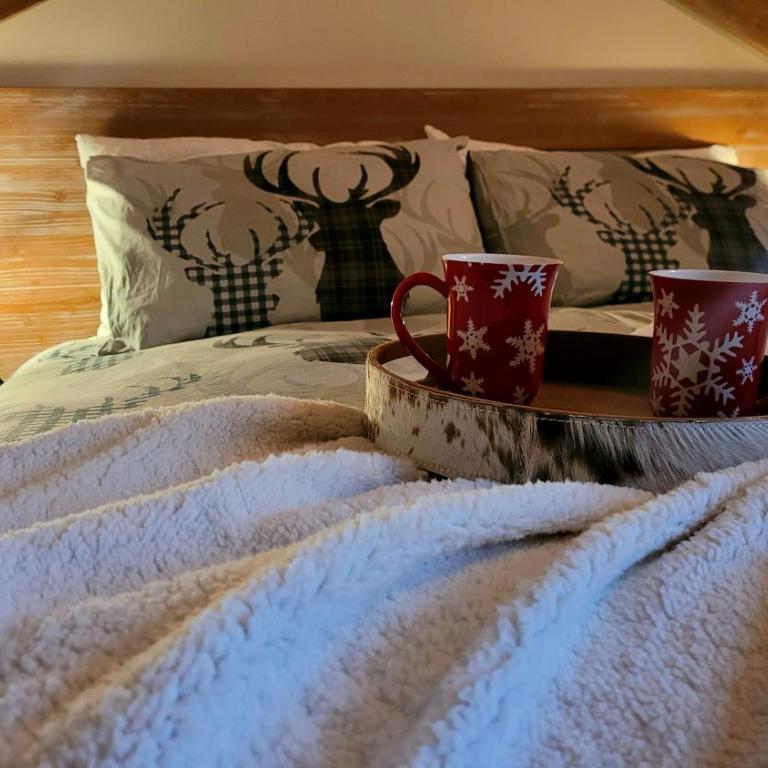 Baita 3 lovely & central Sauze - Chalet con 1 Camera da Letto - 1