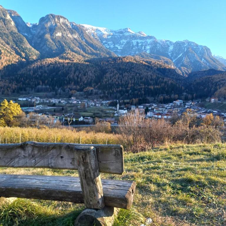 La finestra sul Brenta - Apartment mit 2 Schlafzimmern - 18