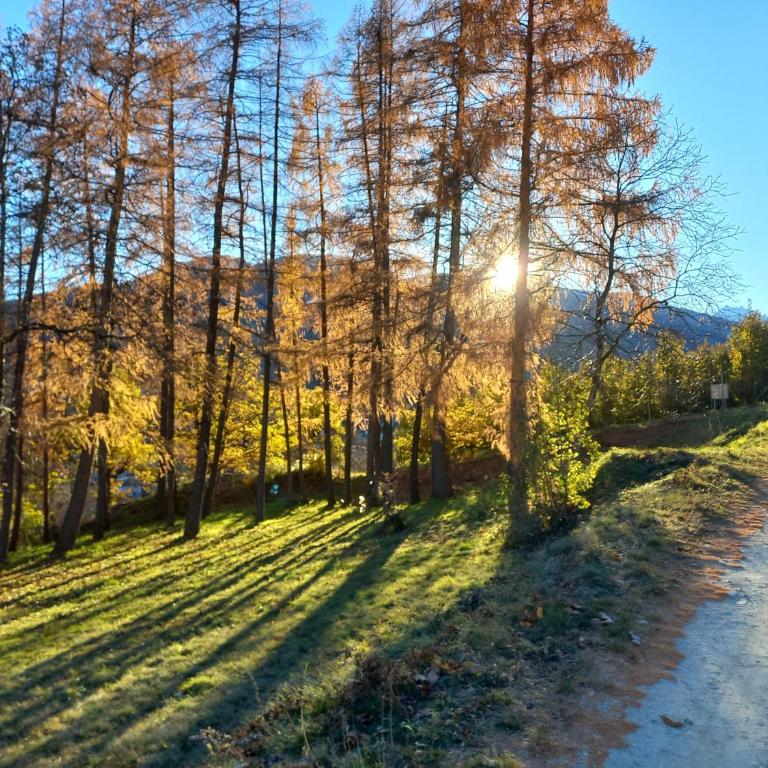 La finestra sul Brenta - Apartment mit 2 Schlafzimmern - 11