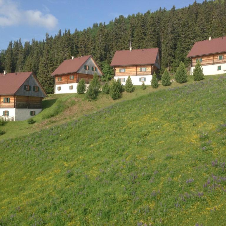 MoselebauerAlm - Chalet - 22