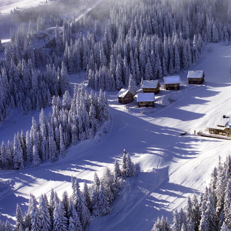 MoselebauerAlm - Chalet - 20