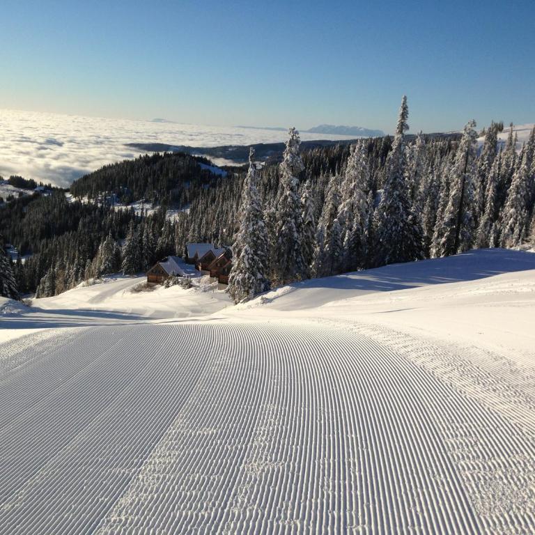 MoselebauerAlm - Chalet - 23