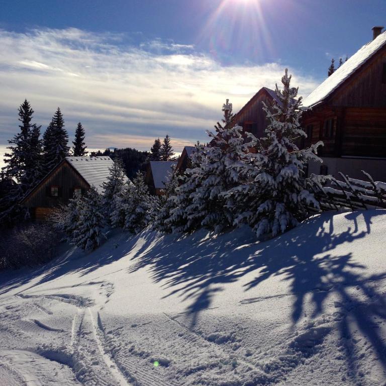 MoselebauerAlm - Chalet - 24