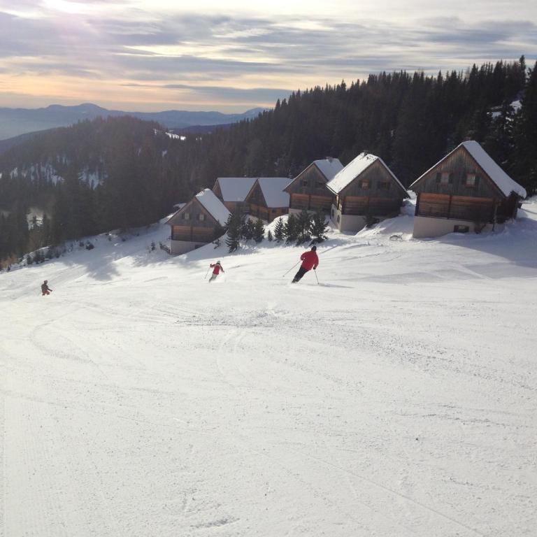 MoselebauerAlm - Chalet - 26