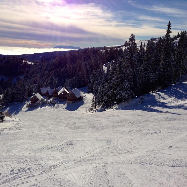 MoselebauerAlm - Chalet - 29